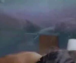 Farklı şekillerde hayvanlı porno erkek arkadaşı ile bir kedi ile genç bir sarışın